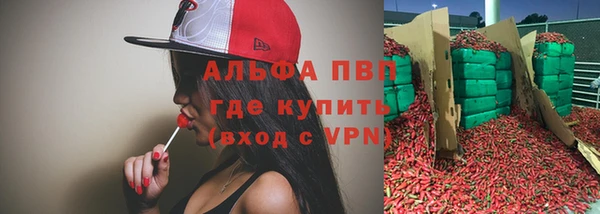сатива Надым