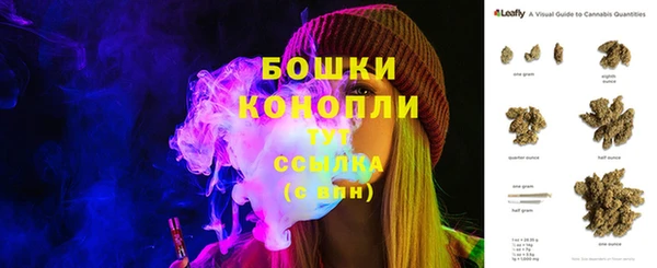 сатива Надым