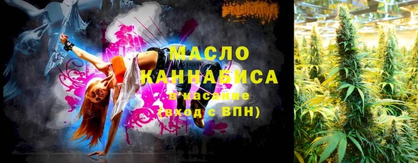 сатива Надым