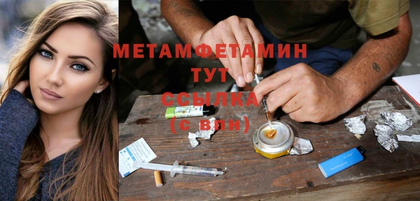 сатива Надым