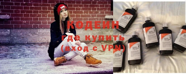 сатива Надым