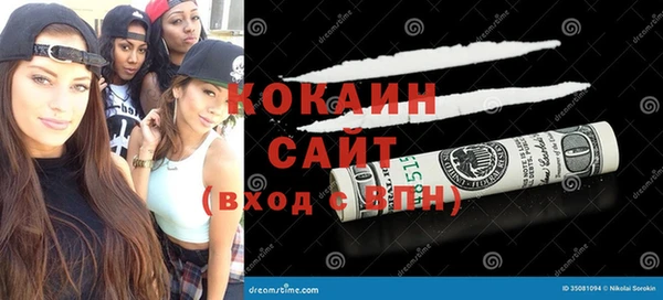 сатива Надым