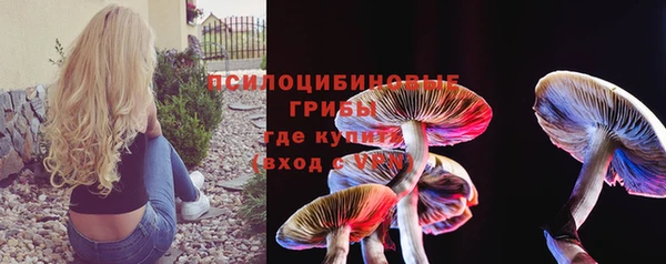 сатива Надым