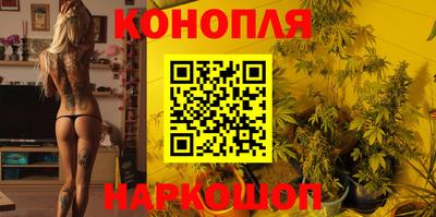 Альфа ПВП Моздок