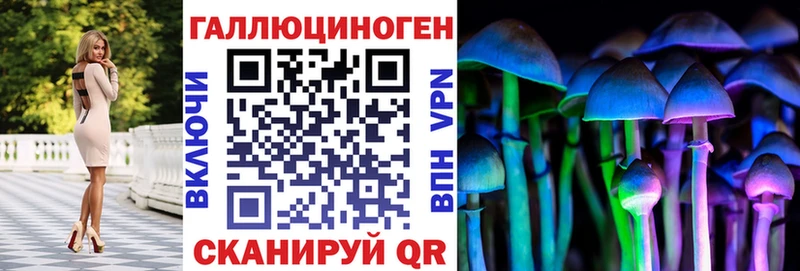 купить закладку  Чусовой  Галлюциногенные грибы Psilocybe 