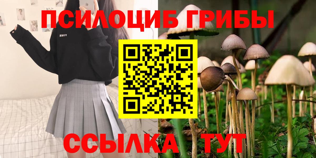 Чусовой  даркнет сайт  Вход с VPN  Галлюциногенные грибы Magic Shrooms 
