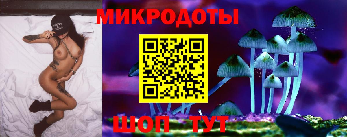 Псилоцибиновые грибы Psilocybine cubensis Чусовой